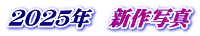 ２０２５年　新作写真