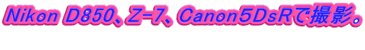 Nikon D850�AZ-7�ACanon�TDsR�ŎB�e�B  