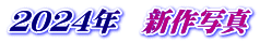 ２０２４年　新作写真