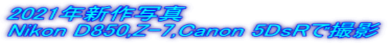 2021�N�V��ʐ^ Nikon D850,Z-7,Canon 5DsR�ŎB�e