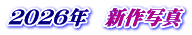 ２０２６年　新作写真