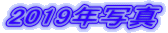 2019年写真 
