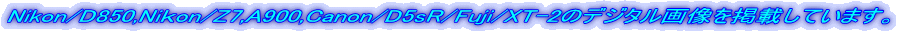 Nikon/D850,Ni��on/Z7,A900,Canon/D5sR/Fuji/XT-2�̃f�W�^���摜���f�ڂ��Ă��܂��B 