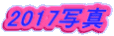 2017写真 